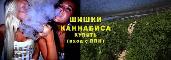 сатива Нефтегорск